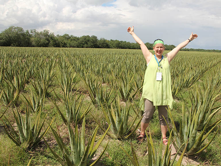 Unohtumaton vierailu Aloe vera-viljelmillä